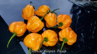 Scotch Bonnet Peach - Pepper Seeds - White Hot Peppers